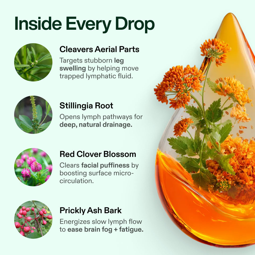 Lymphatic Drainage Drops