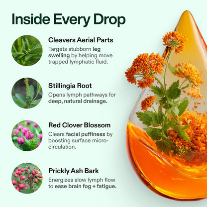 Lymphatic Drainage Drops